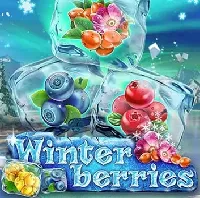 Yg Winterberries на Vbet